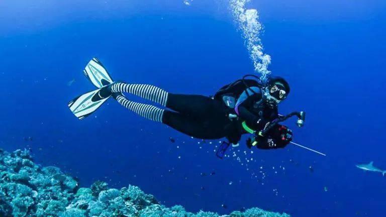 领航医药生物科技盘中异动 早盘股价大跌8.60%