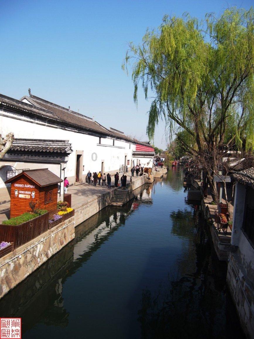 去医院检查慢性咽炎又查出了食管癌，怎么办？游戏画面